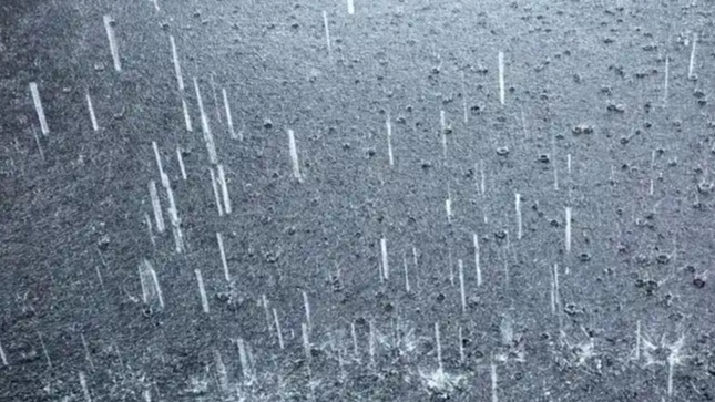 北京市七区发布暴雨红色预警热搜配图